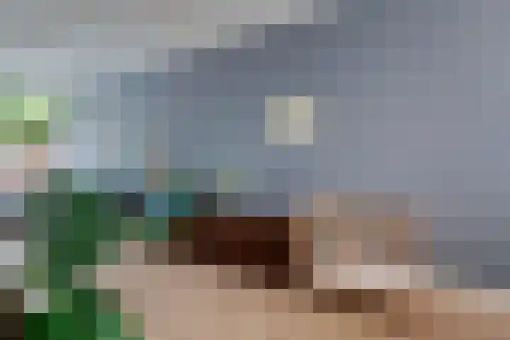 Berkelselaan 60 A Rotterdam thumbnail 20
