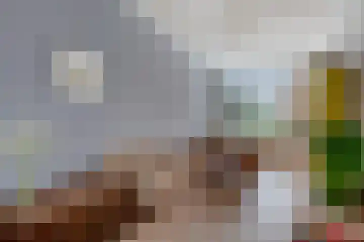 Berkelselaan 60 A Rotterdam thumbnail 22