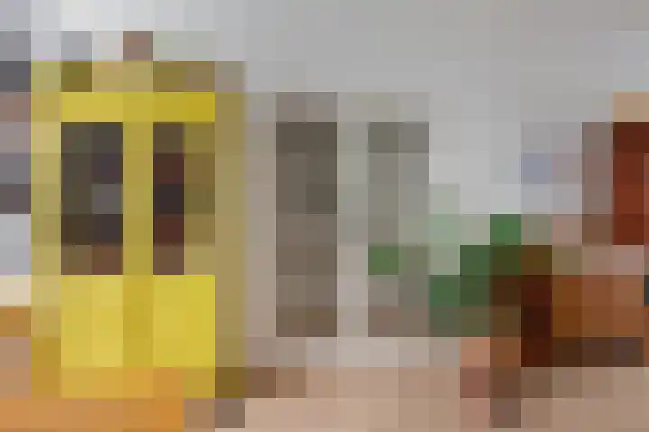 Berkelselaan 60 A Rotterdam thumbnail 25
