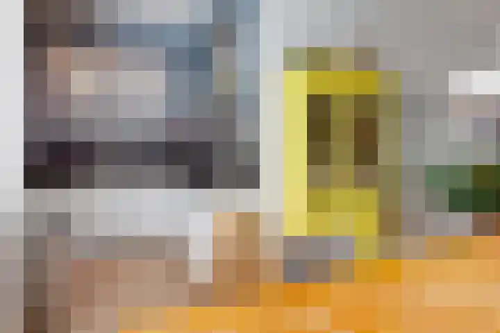 Berkelselaan 60 A Rotterdam thumbnail 26