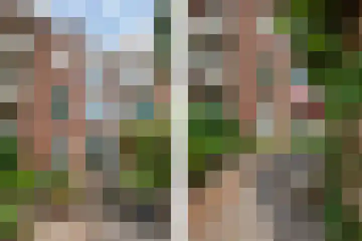 Berkelselaan 60 A Rotterdam thumbnail 34