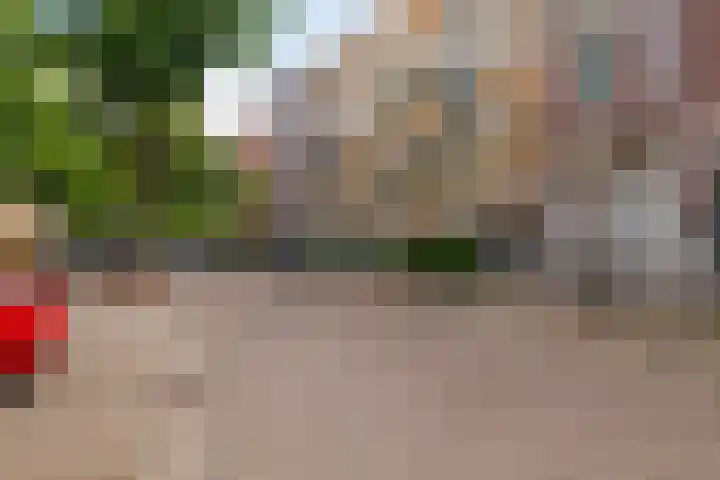 Berkelselaan 60 A Rotterdam thumbnail 35