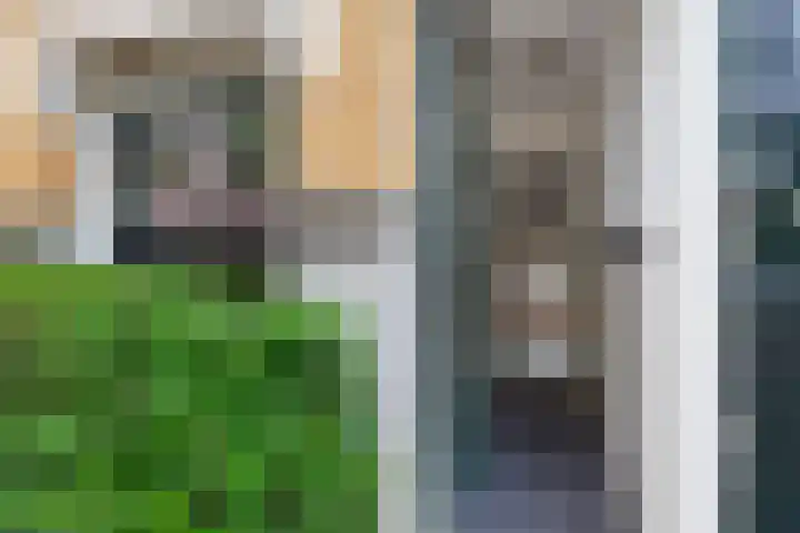 Berkelselaan 60 A Rotterdam thumbnail 37