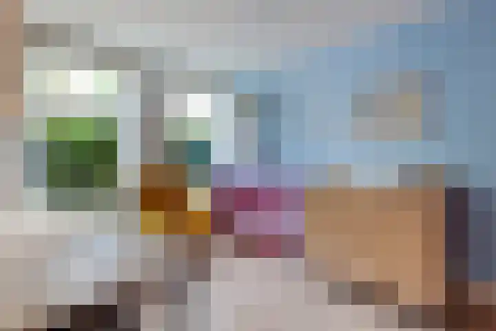 Berkelselaan 60 A Rotterdam thumbnail 5