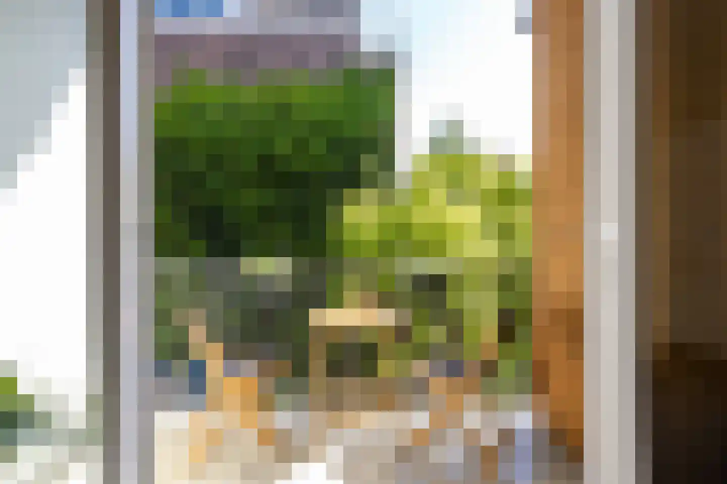 Berkelselaan 70 B 01 Rotterdam thumbnail 14