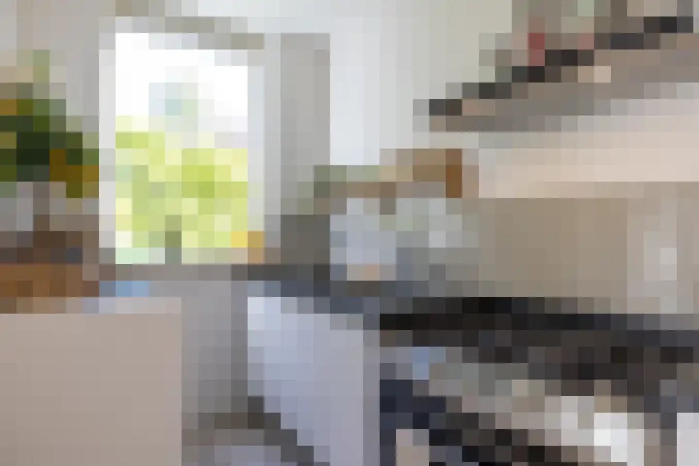 Berkelselaan 70 B 01 Rotterdam thumbnail 16