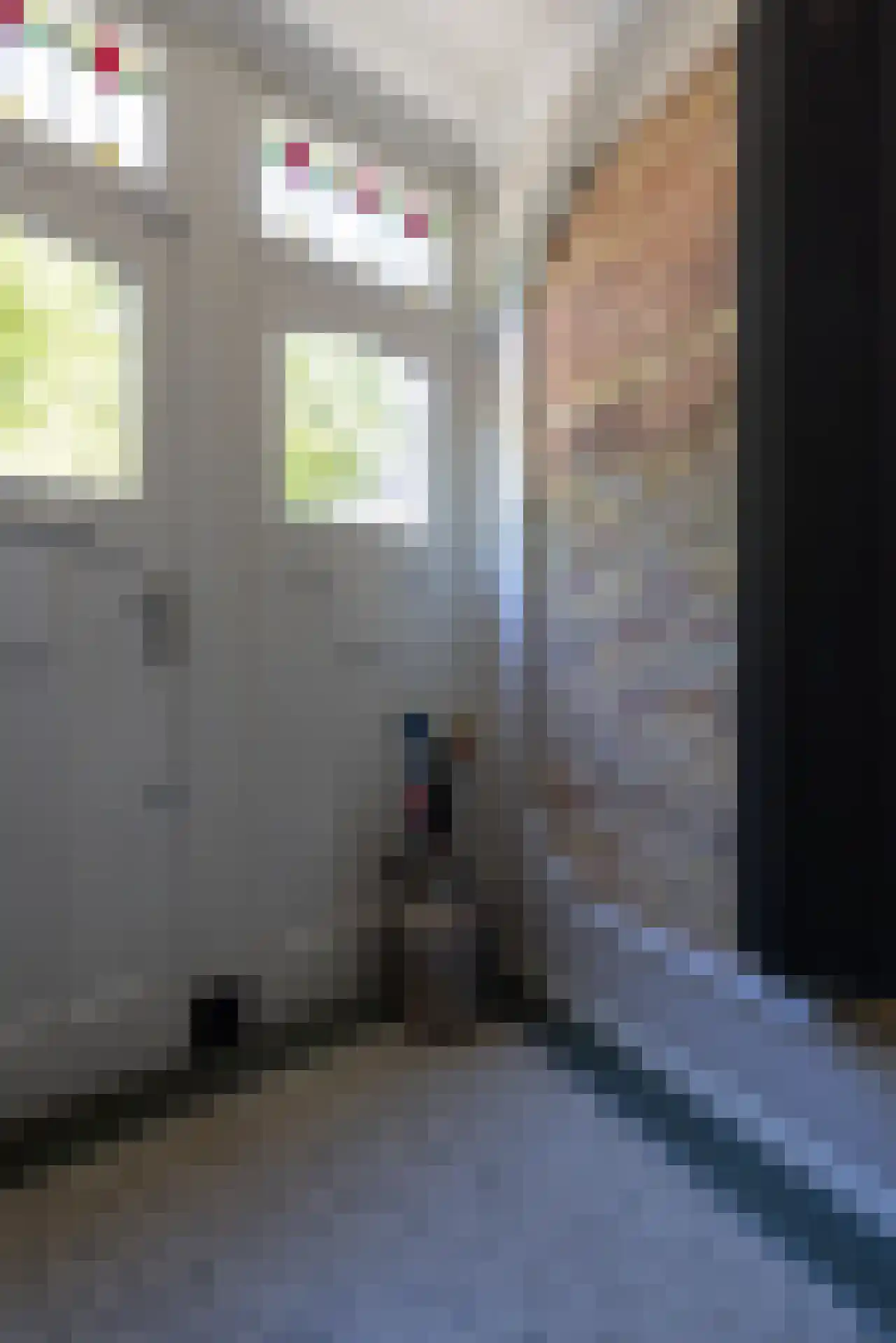 Berkelselaan 70 B 01 Rotterdam thumbnail 30