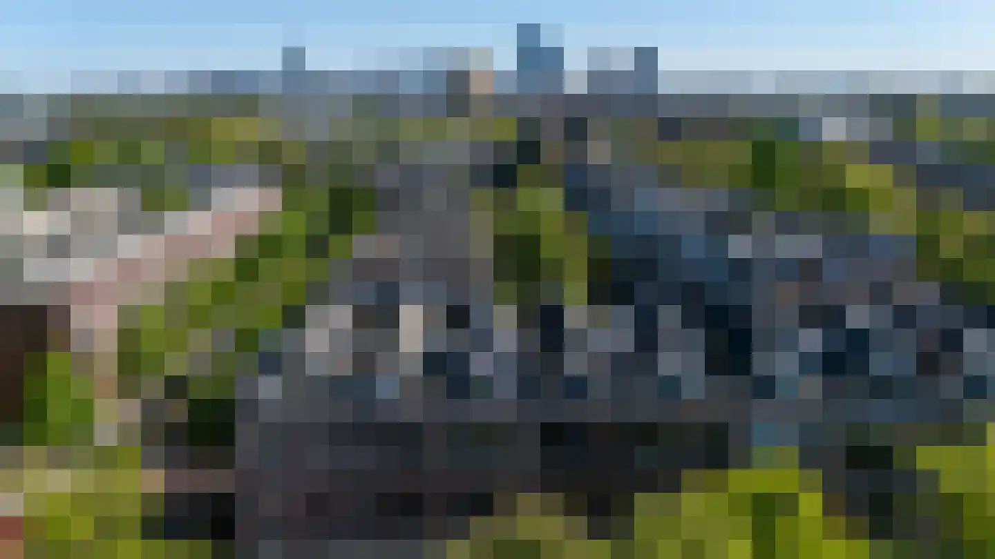 Berkelselaan 70 B 01 Rotterdam thumbnail 31