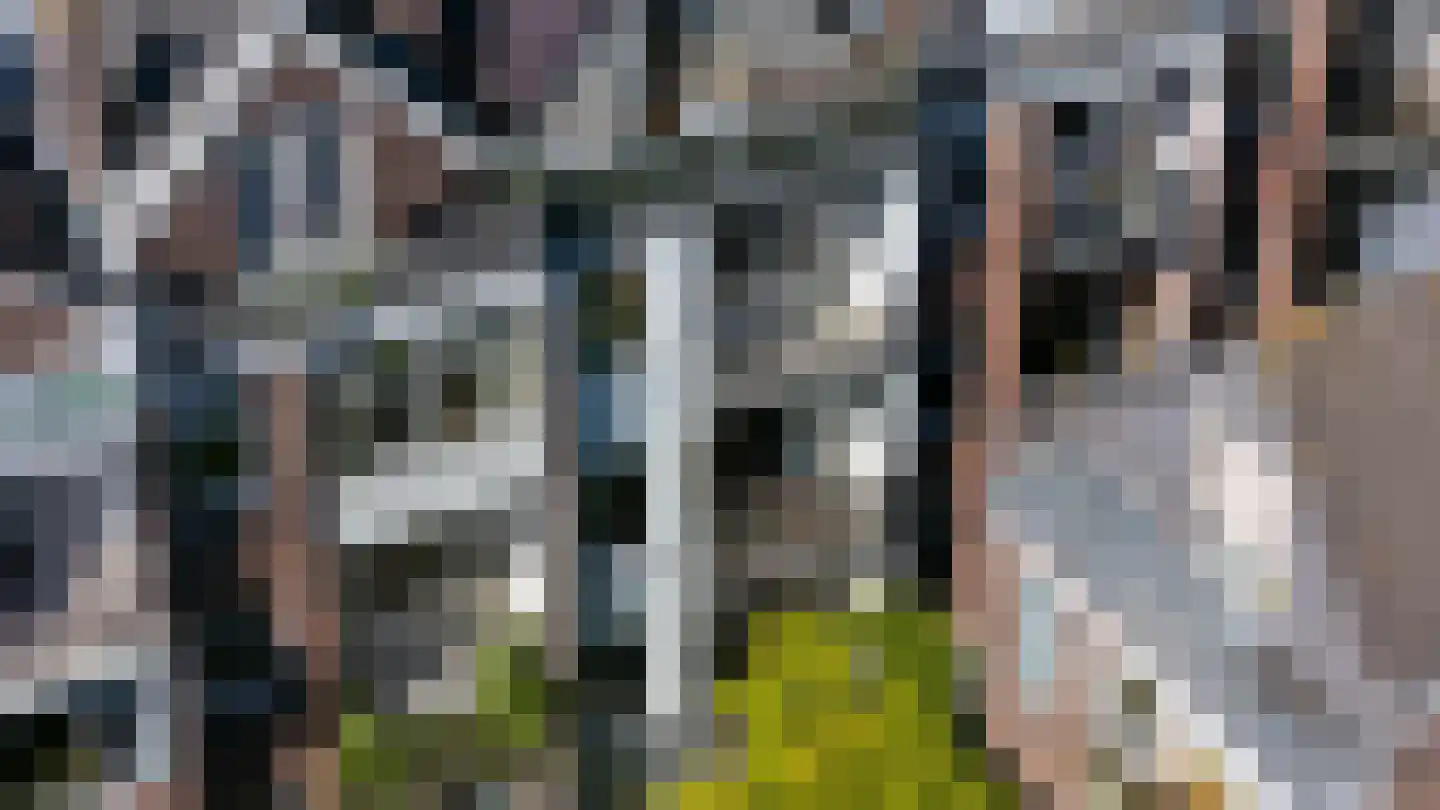 Berkelselaan 70 B 01 Rotterdam thumbnail 34