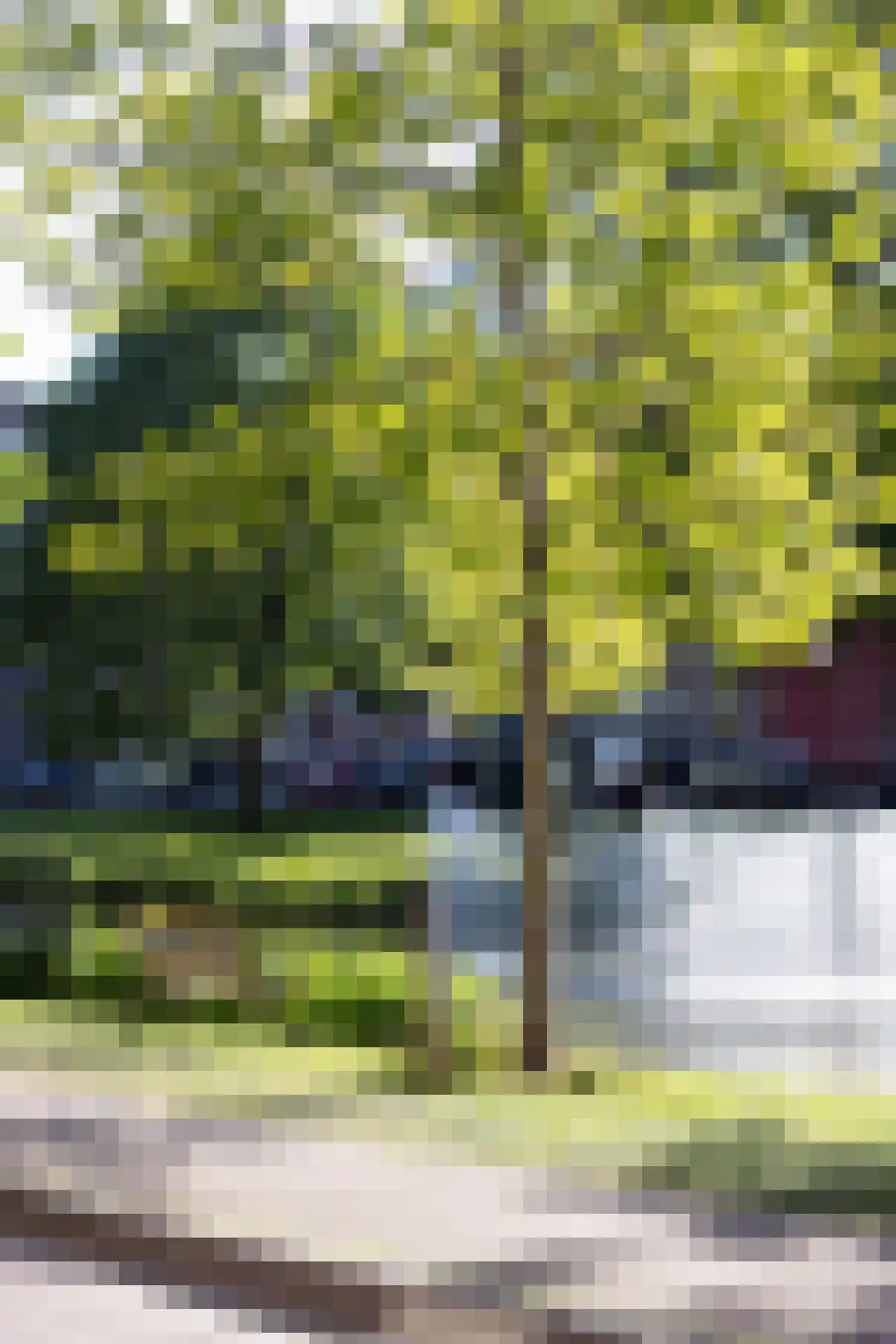 Berkelselaan 70 B 01 Rotterdam thumbnail 36
