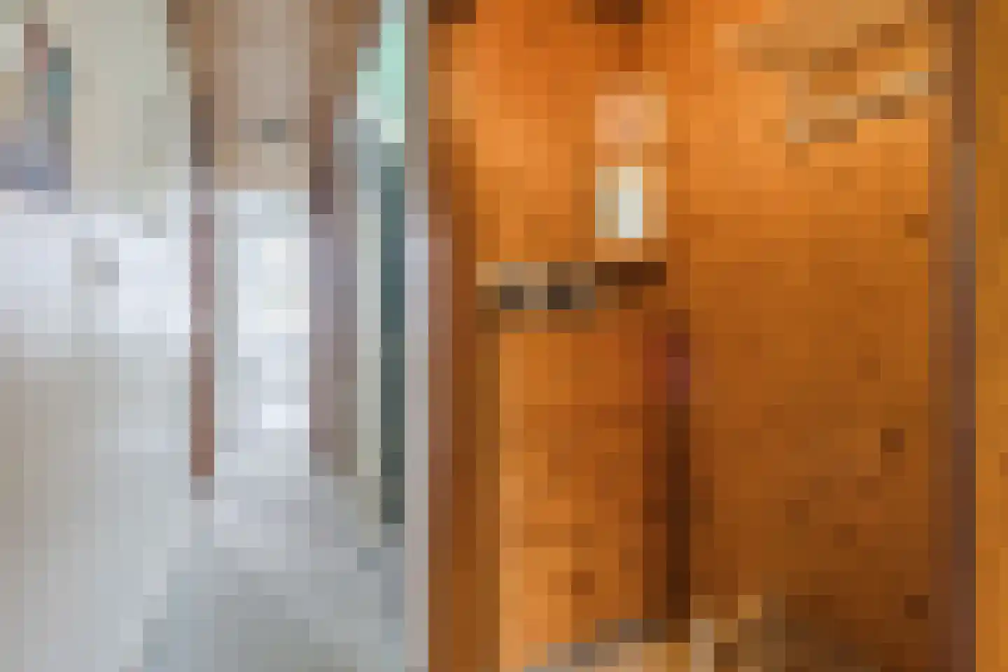 Berkelselaan 74 B Rotterdam thumbnail 27