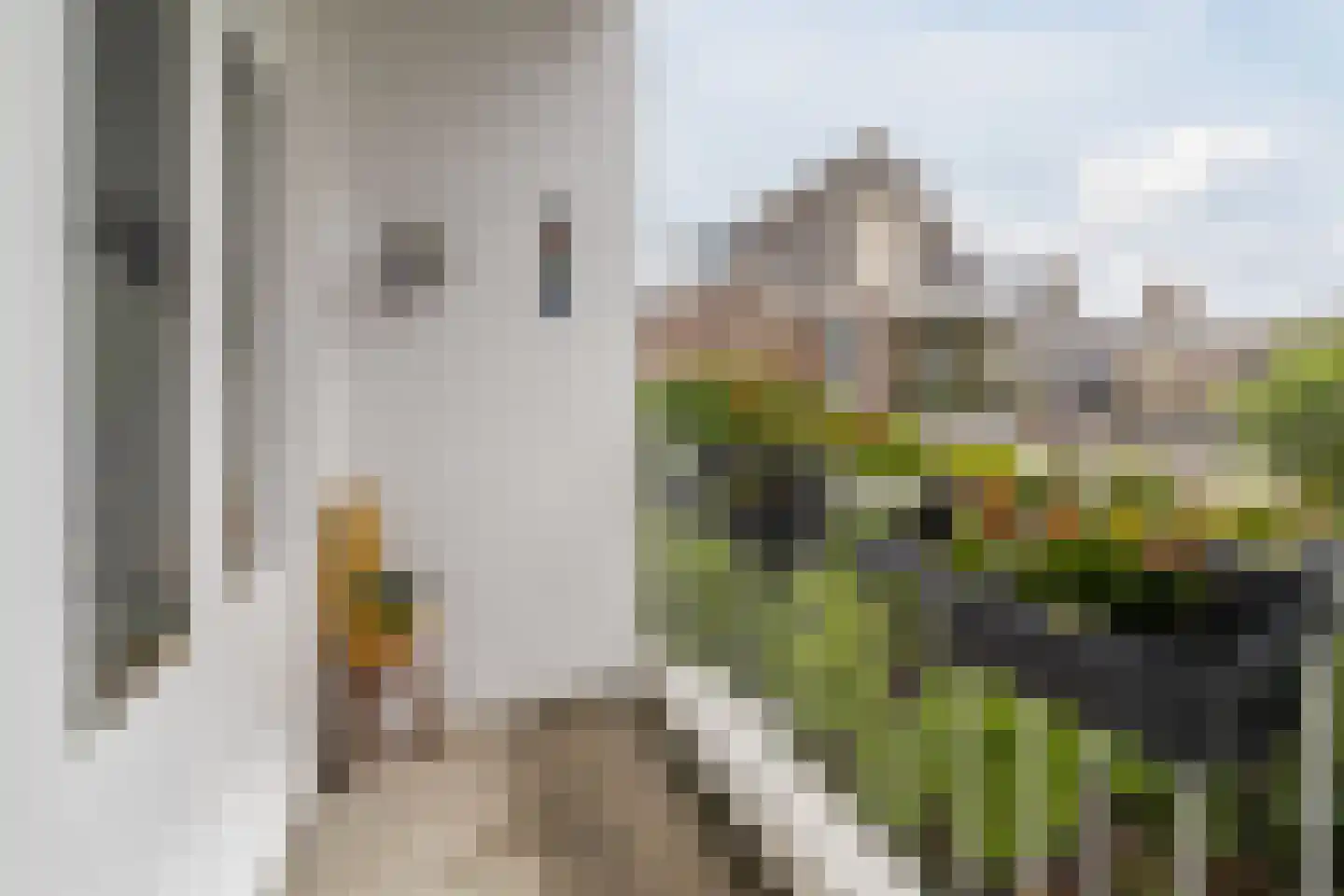 Berkelselaan 74 B Rotterdam thumbnail 46
