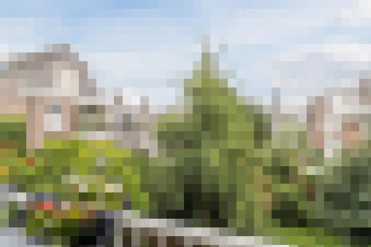 Berkelselaan 74 B Rotterdam thumbnail 47