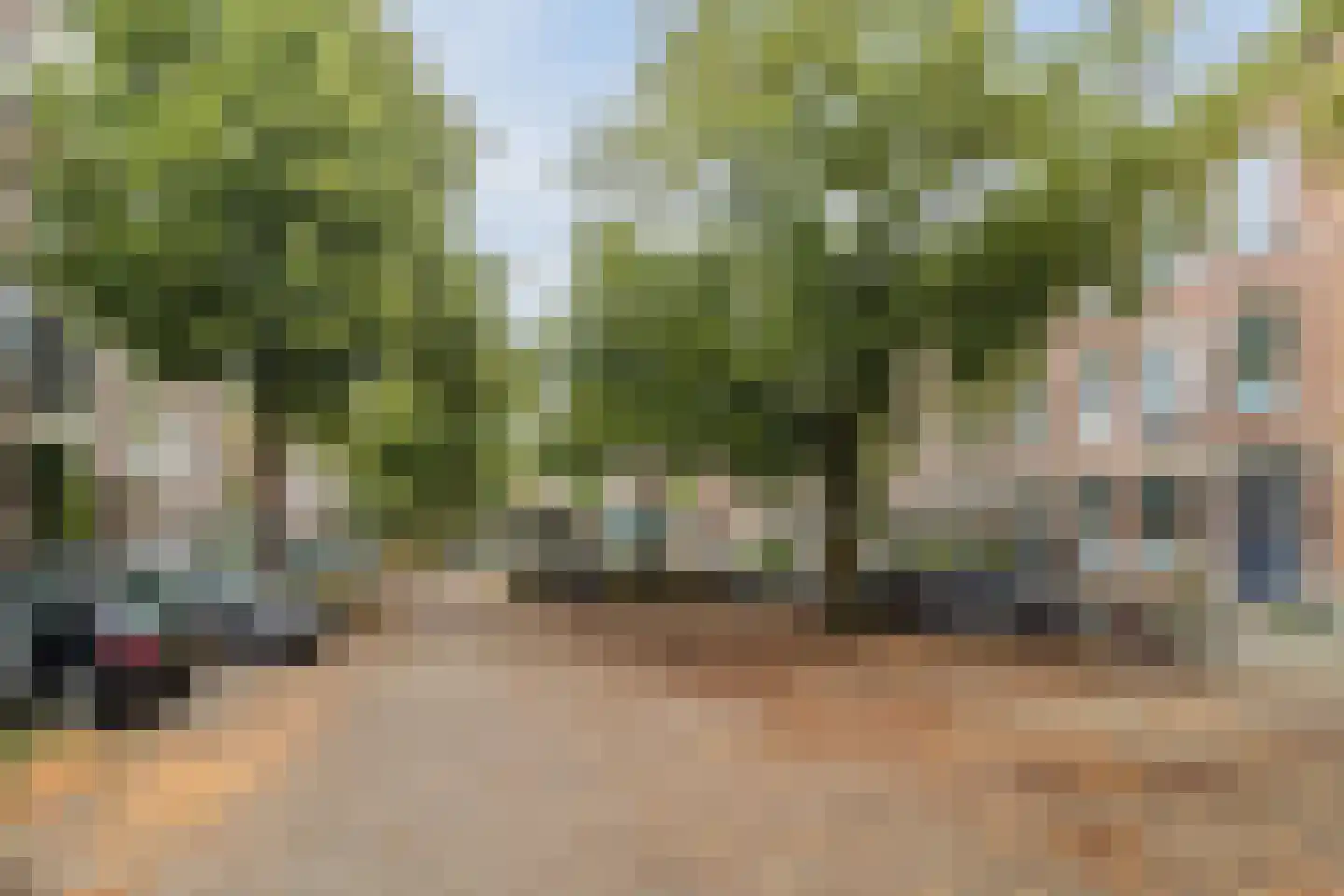 Berkelselaan 74 B Rotterdam thumbnail 5