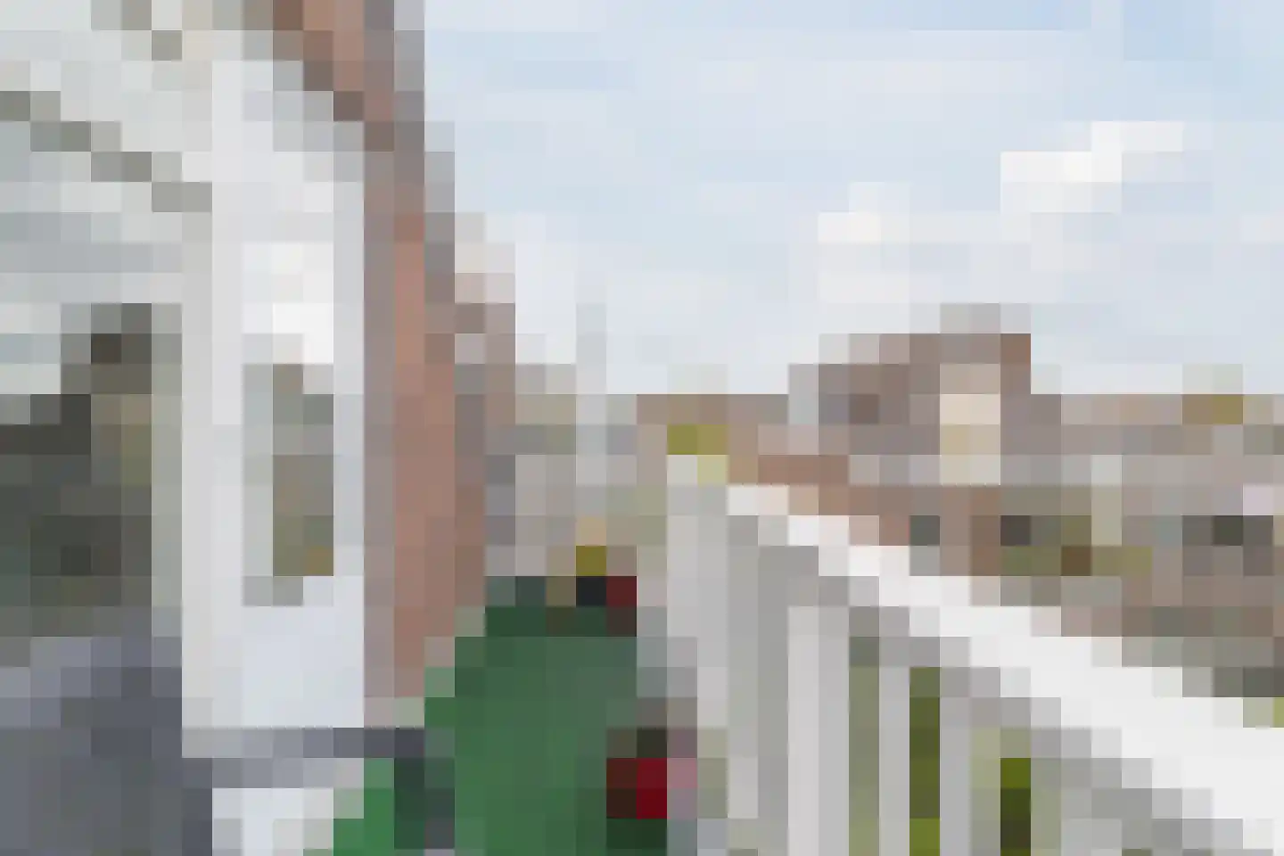 Berkelselaan 74 B Rotterdam thumbnail 52