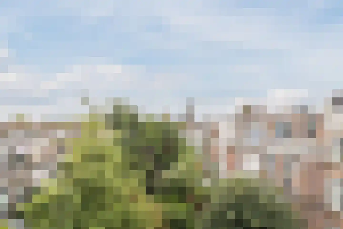 Berkelselaan 74 B Rotterdam thumbnail 53