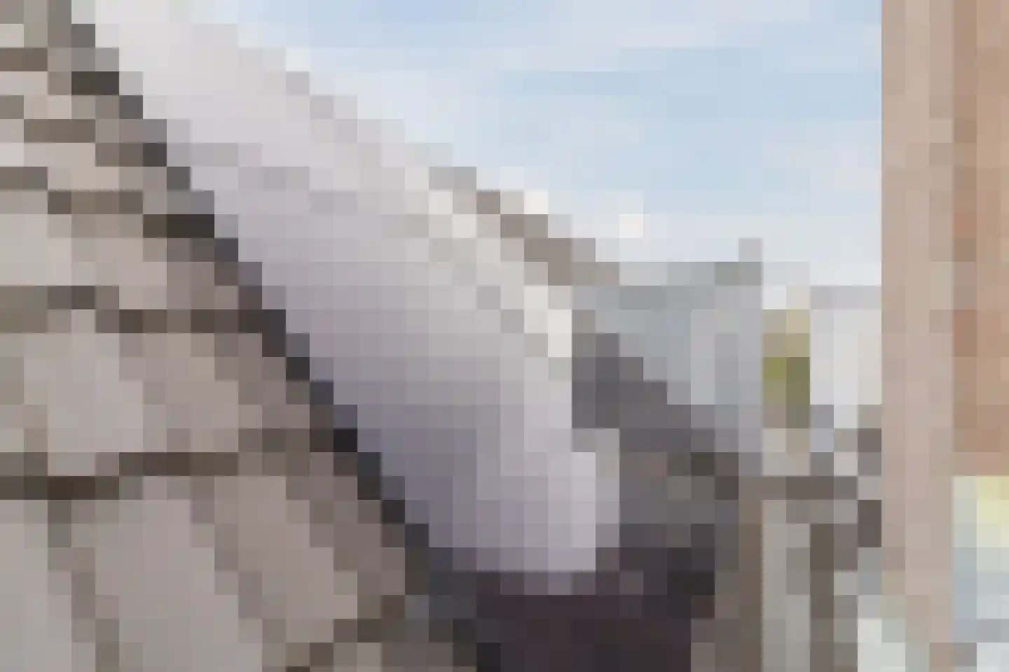 Berkelselaan 74 B Rotterdam thumbnail 55