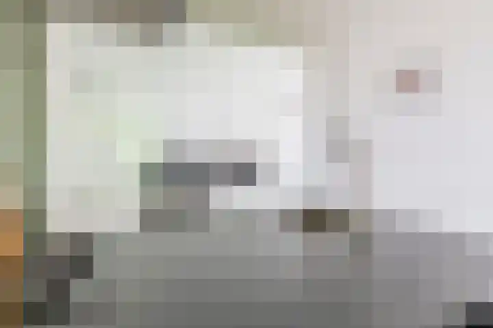 Berkelselaan 87 A Rotterdam thumbnail 11