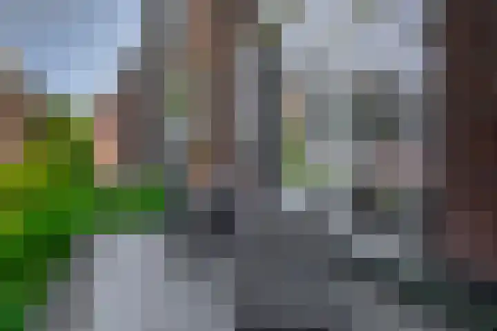 Berkelselaan 87 A Rotterdam thumbnail 15