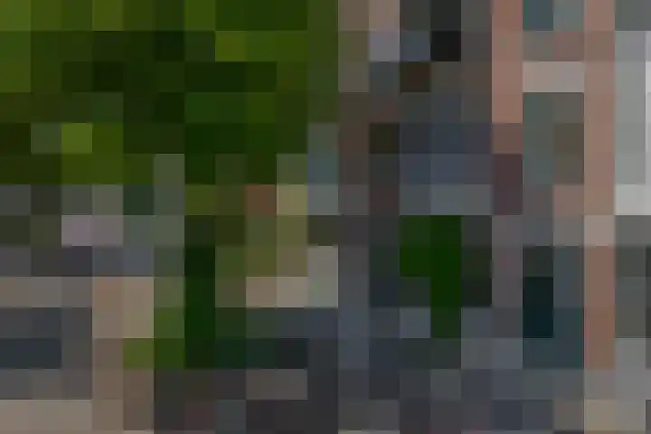 Berkelselaan 87 A Rotterdam thumbnail 25