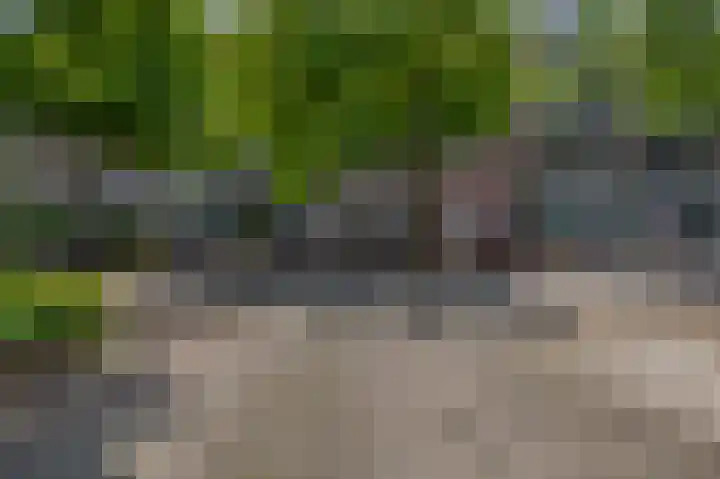 Berkelselaan 87 A Rotterdam thumbnail 27