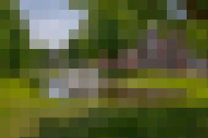 Berkelselaan 87 A Rotterdam thumbnail 28