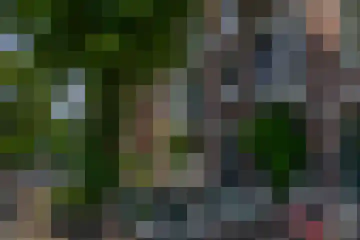 Berkelselaan 87 A Rotterdam thumbnail 30