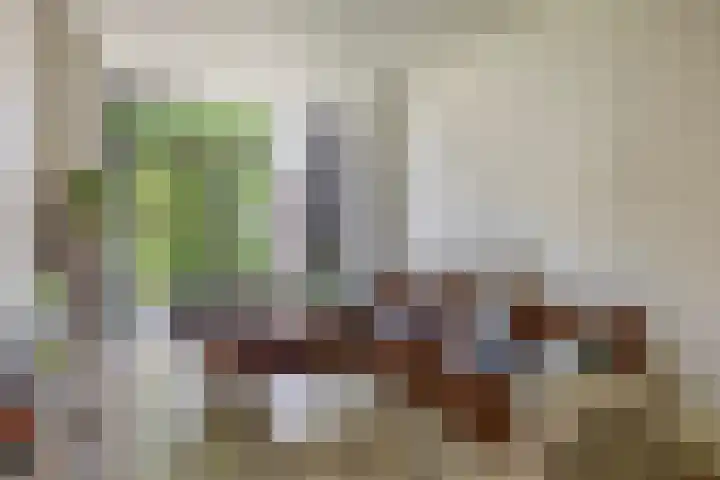 Berkelselaan 87 A Rotterdam thumbnail 33