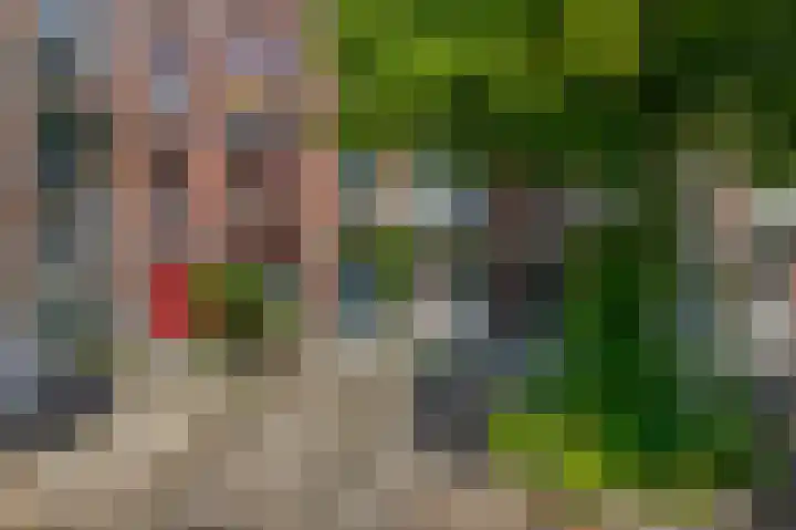 Berkelselaan 87 A Rotterdam thumbnail 4