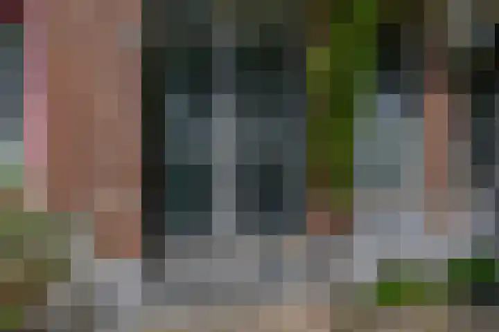 Berkelselaan 87 A Rotterdam thumbnail 5