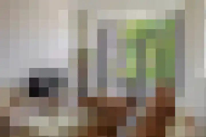 Berkelselaan 87 A Rotterdam thumbnail 7