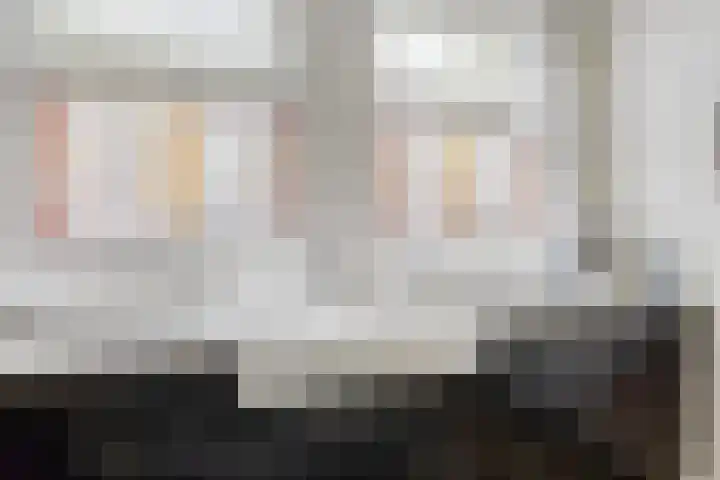 Berkelselaan 90 B Rotterdam thumbnail 15