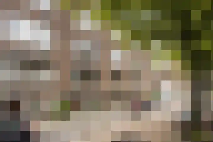 Berkelselaan 90 B Rotterdam thumbnail 23