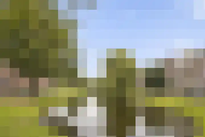 Berkelselaan 90 B Rotterdam thumbnail 24