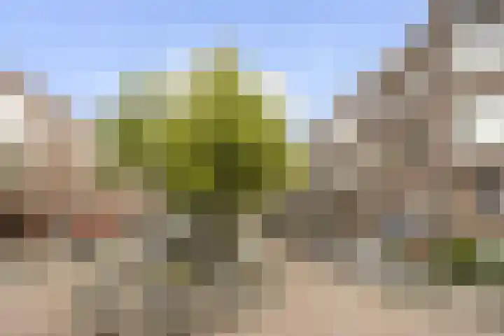 Berkelselaan 90 B Rotterdam thumbnail 25