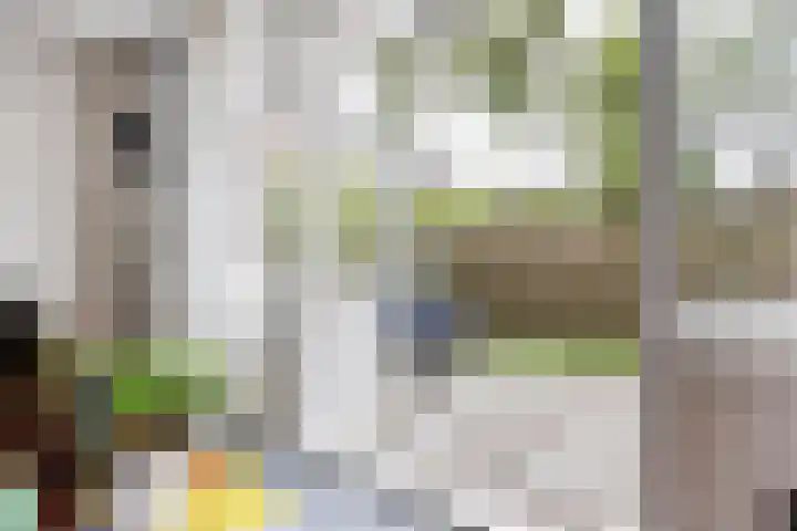 Berkelselaan 90 B Rotterdam thumbnail 7