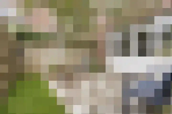 Berkelselaan 90 B Rotterdam thumbnail 8