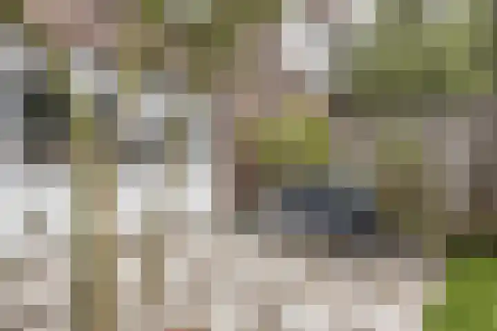 Berkelselaan 90 B Rotterdam thumbnail 9