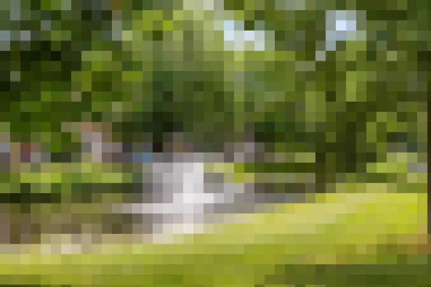 Berkelselaan 92 A 01 Rotterdam thumbnail 28