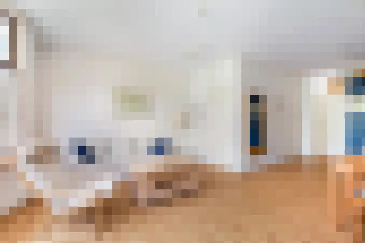 Berkelselaan 92 A 01 Rotterdam thumbnail 7
