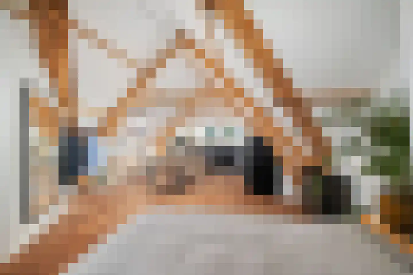 Berkelselaan 92 A 03 Rotterdam thumbnail 16