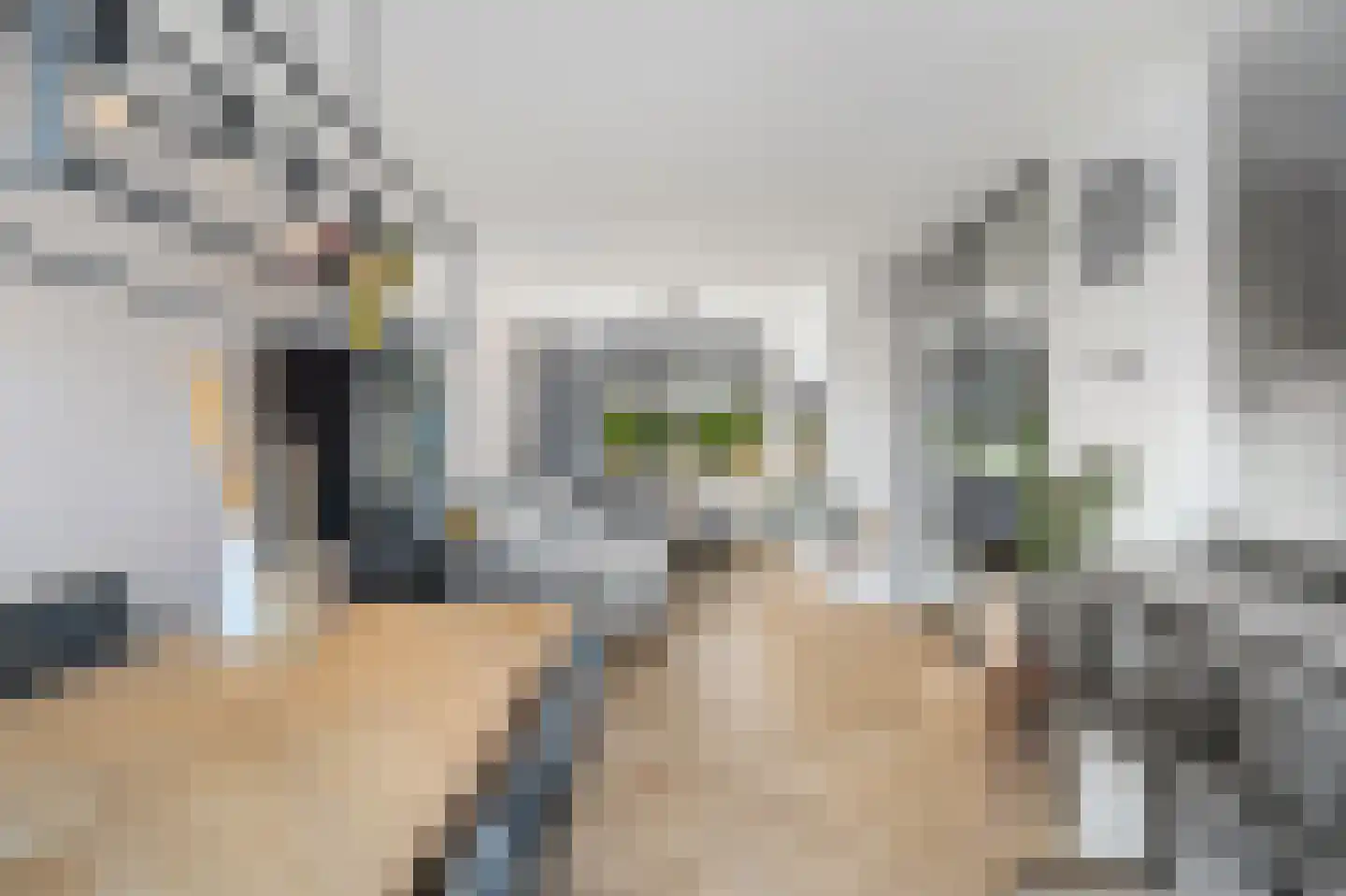 Berkelseweg 12 Bergschenhoek thumbnail 18
