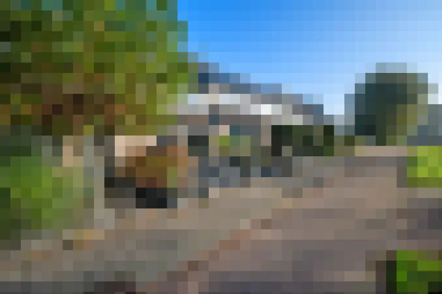 Berkelseweg 12 Bergschenhoek thumbnail 6