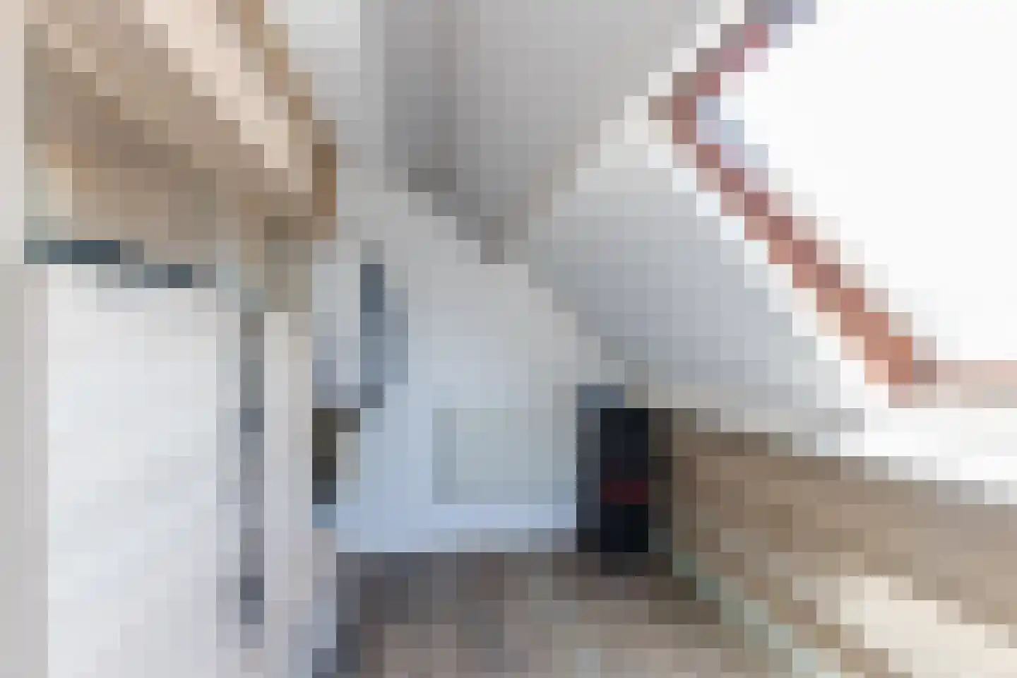 Berkelseweg 13 Berkel-Enschot thumbnail 18