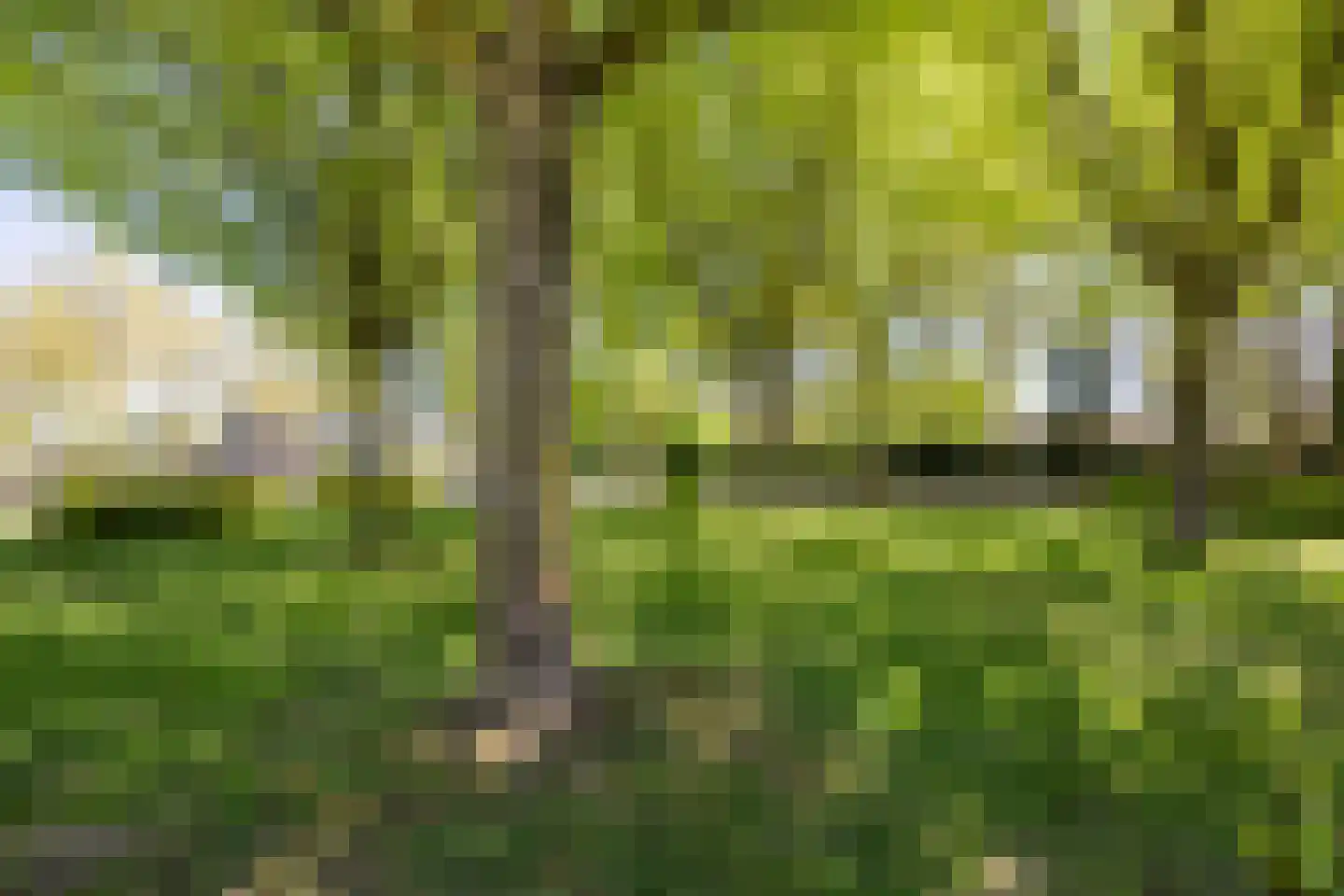 Berkelseweg 13 Berkel-Enschot thumbnail 37