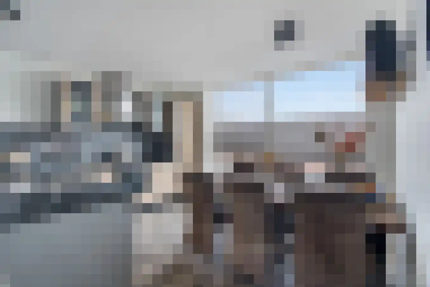 Berkelseweg 18 Pijnacker thumbnail 11