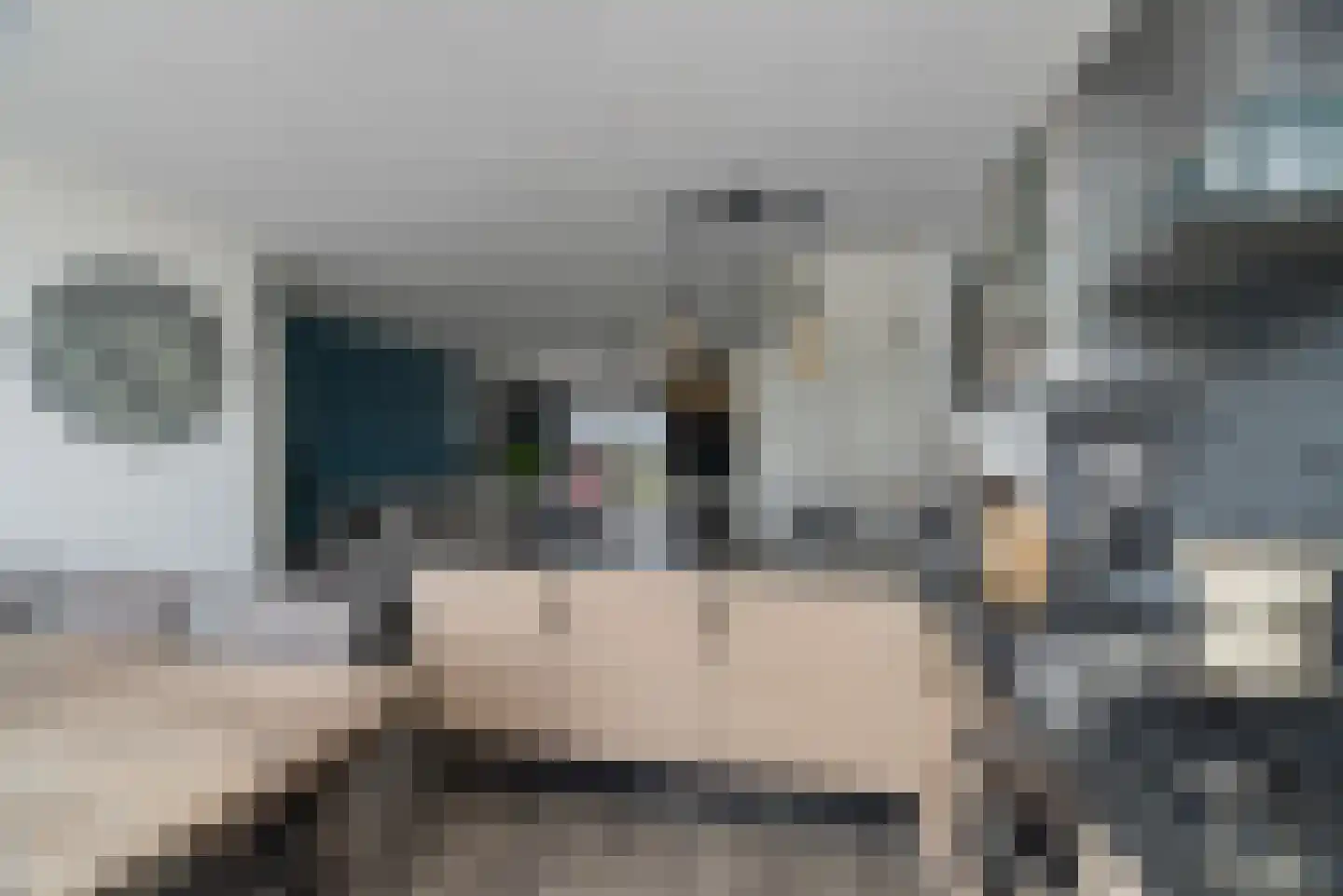 Berkelseweg 18 Pijnacker thumbnail 12