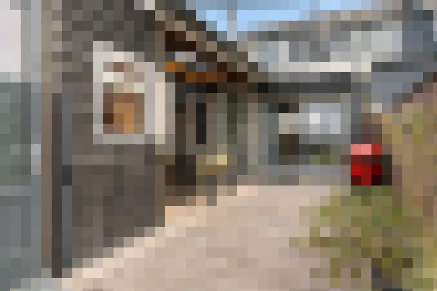 Berkelseweg 18 Pijnacker thumbnail 22