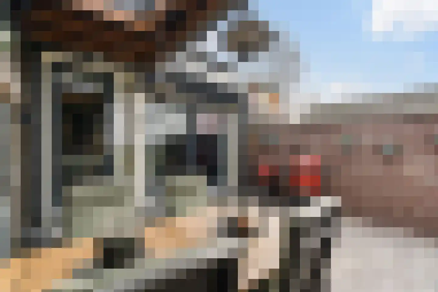Berkelseweg 18 Pijnacker thumbnail 23