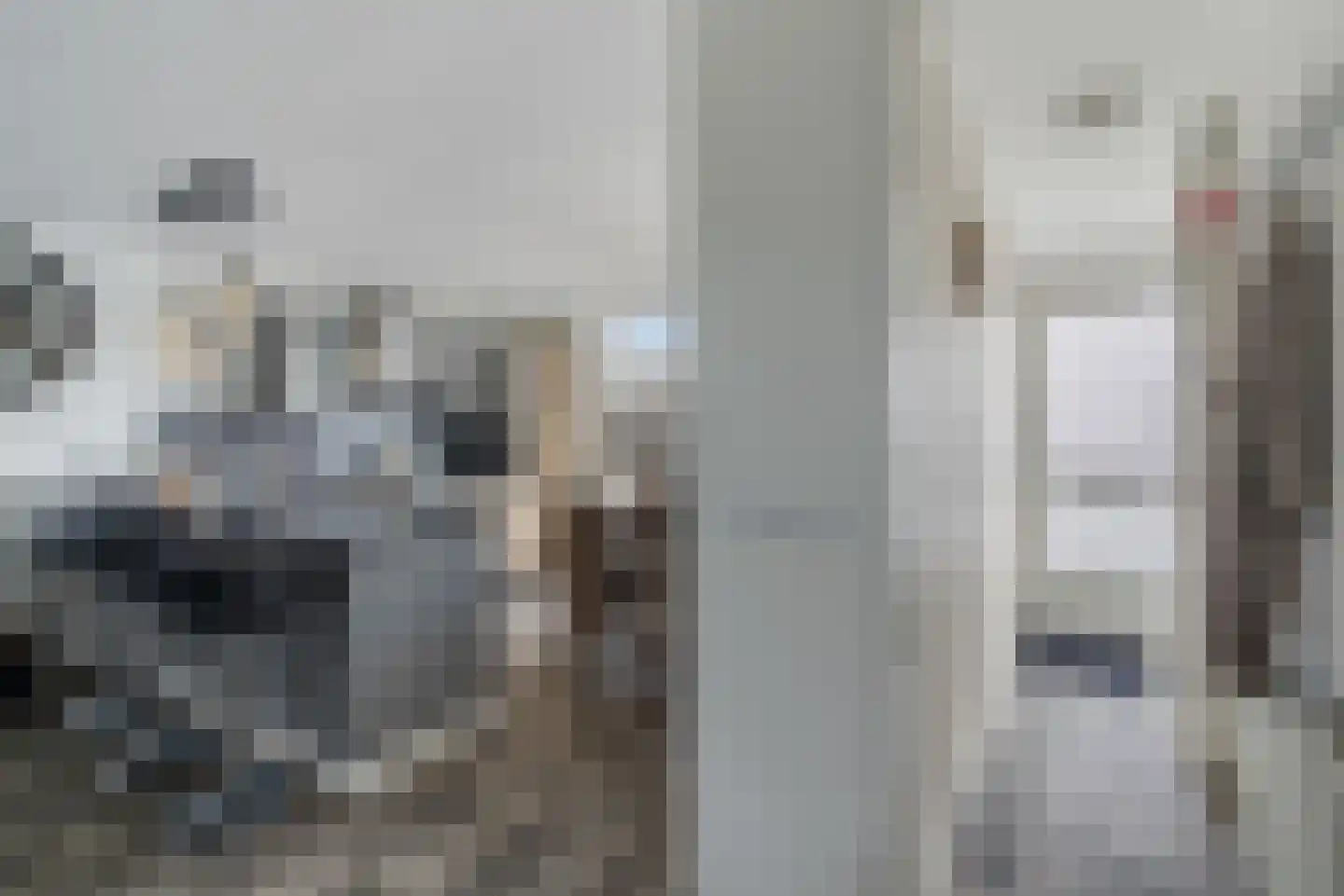 Berkelseweg 18 Pijnacker thumbnail 8